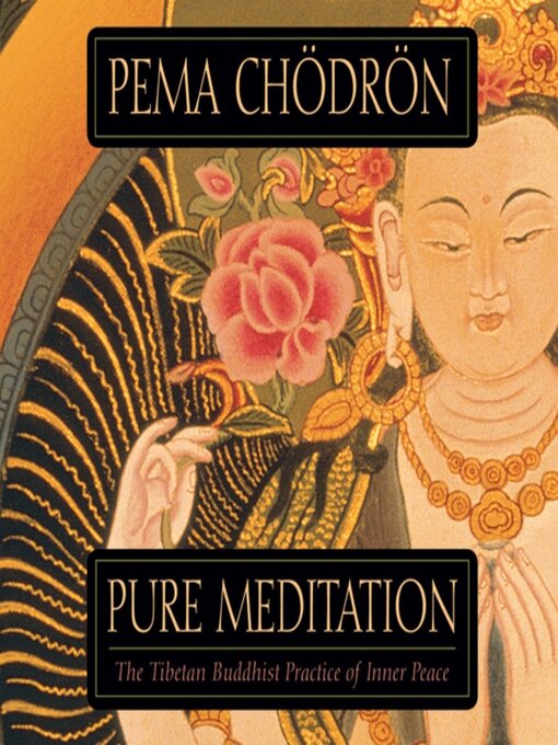 Cover image for Pure Meditation